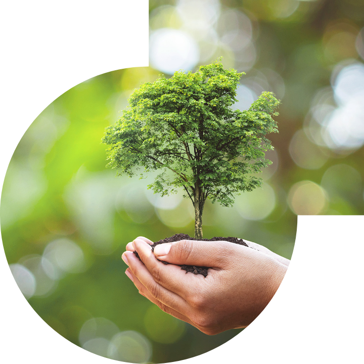 关怀人类、文化、环境与社会